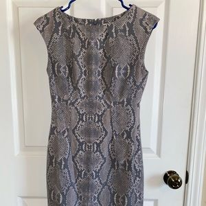 Calvin Klein: Snake Skin Work Dress